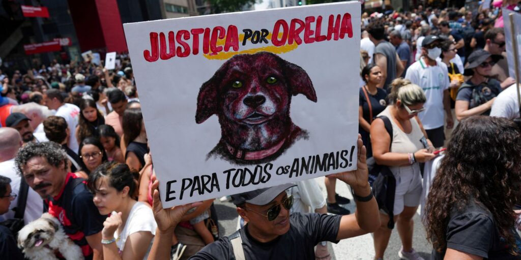 caso-orelha:-policia-pede-internacao-de-adolescente-envolvido-no-crime