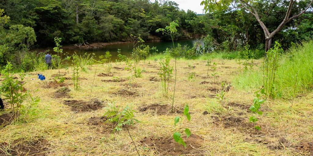 eca-ambiental-garante-direito-de-acesso-de-jovens-a-areas-verdes