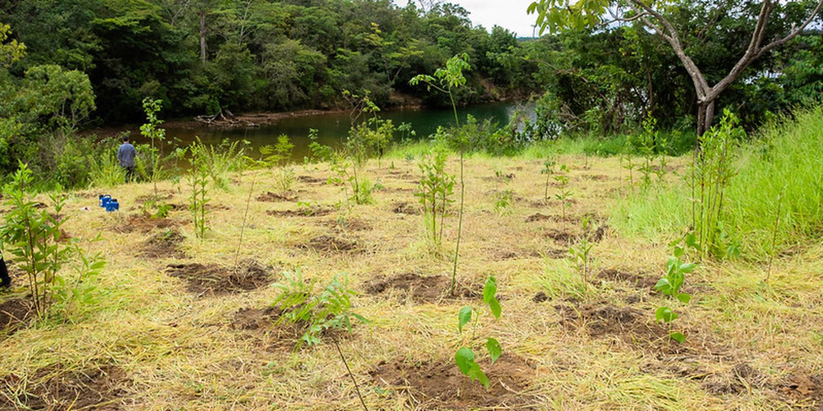 eca-ambiental-garante-direito-de-acesso-de-jovens-a-areas-verdes
