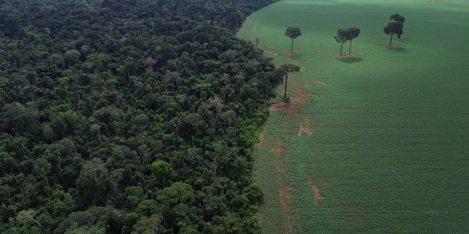agro-cresce-561%-no-entorno-de-areas-protegidas-na-amazonia-em-41-anos