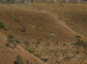 mapbiomas:-fragmentacao-de-areas-naturais-quase-triplicou-em-40-anos