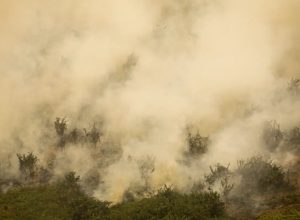 mg:-principal-foco-de-incendio-em-terra-indigena-maxakali-e-controlado