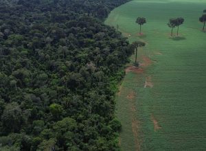 agro-cresce-561%-no-entorno-de-areas-protegidas-na-amazonia-em-41-anos