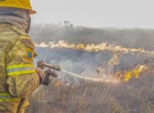 pf-abre-9-procedimentos-para-apurar-incendios-em-cidades-do-amazonas