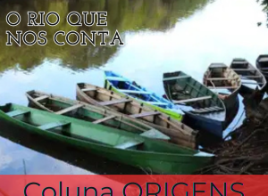 coluna origens